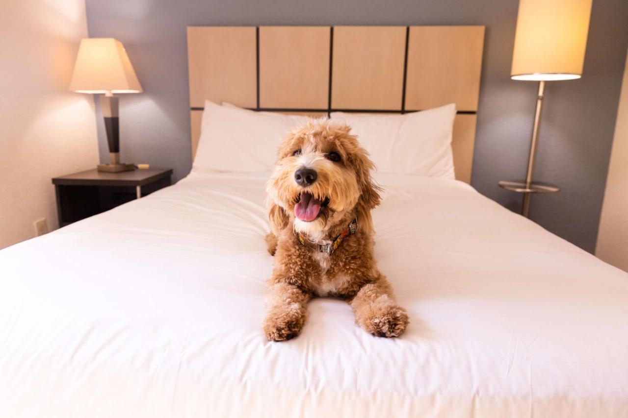 Sonesta Simply Suites Minneapolis Richfield Bagian luar foto